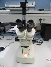 triocular_microscope
